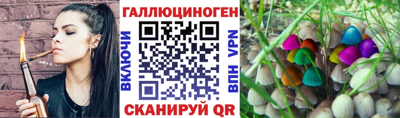Псилоцибиновые грибы прущие грибы  Ачхой-Мартан 