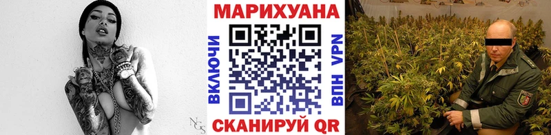 Конопля марихуана  Ачхой-Мартан 
